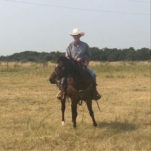 Meet your Posher, Cy